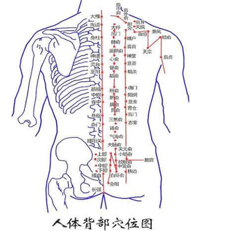 背部有痣的女人|背部有痣图解大全 背部有痣的人看命运